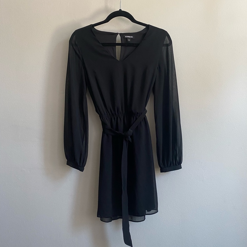 Express chiffon sleeve fit and flare dress